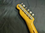 画像5: Fender Japan / Exclusive Classic 50s Telecaster (5)