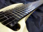 画像3: EDWARDS / E-FR-140GT/Pearl Whit Gold  (3)