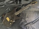 画像1: Valley Arts /Custom Pro USA see-through　Black (1)