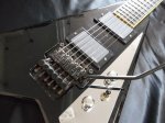 画像3: Jackson Stars / RR-TN01　ハードケース付属 (3)