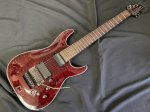 画像1: SCHECTER / シェクター  HELLRAISER C-7 FR SUSTAINIAC　AD-C-7-FR-HR/SN (1)