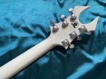 画像9: B.C.RICH / Draco Ghost Flame (新古品) (9)