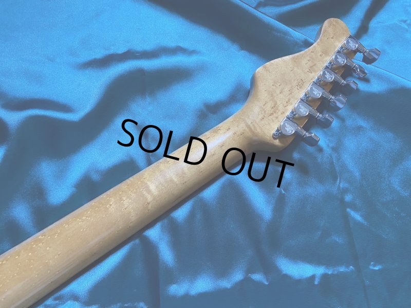 画像9: Valley Arts / Custom Pro (9)