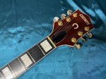 画像3: Gretsch / 6120 Nashville  (3)