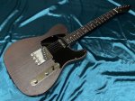 画像1: Musikraft / Tele  All Rosewood  （新品） (1)