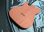 画像15: Musikraft / Tele  All Rosewood  （新品） (15)