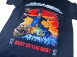 画像2: Gammaray /  オフィシャル BEST  OF THE BEST Tシャツ(新品 L サイズ） (2)