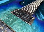 画像4: Ibanez / RG421PB SBF (4)