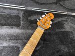 画像4: MUSICMAN / AXIS USA Translucent Gold (4)