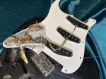 画像22: Fender USA / Stratocaster 1980 (22)