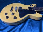 画像5: Epiphone / Les Paul Special DC TV Yellow (5)