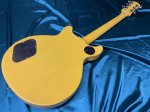 画像7: Epiphone / Les Paul Special DC TV Yellow (7)