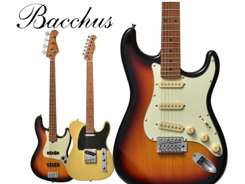 画像1: Bacchus ギターお取り寄せできます！！ (1)