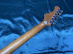 画像9: 【新品】Bacchus / BTE-1DX RSM/M BBD (9)