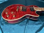 画像6: Epiphone / Les Paul custom Prophecy Plus (6)