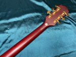 画像10: Epiphone / Les Paul custom Prophecy Plus (10)