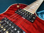 画像5: Epiphone / Les Paul custom Prophecy Plus (5)