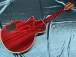 画像8: Epiphone / Les Paul custom Prophecy Plus (8)
