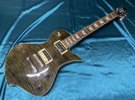 画像1: FERNANDES / RAVELLE ELITE FT (1)
