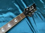 画像3: FERNANDES / RAVELLE ELITE FT (3)