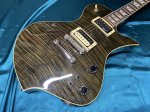 画像2: FERNANDES / RAVELLE ELITE FT (2)