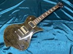 画像1: FERNANDES / RAVELLE ELITE FT【中古品】 (1)
