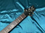 画像3: Paul Reed Smith(PRS) / ce 22 【中古品】1995年製 (3)