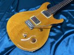 画像2: Paul Reed Smith(PRS) / ce 22 【中古品】1995年製 (2)