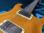 画像4: Paul Reed Smith(PRS) / ce 22 【中古品】1995年製 (4)