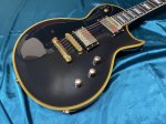 画像2: 【新品】Grass Roots / G-EC  Gloss Vintage Black (2)