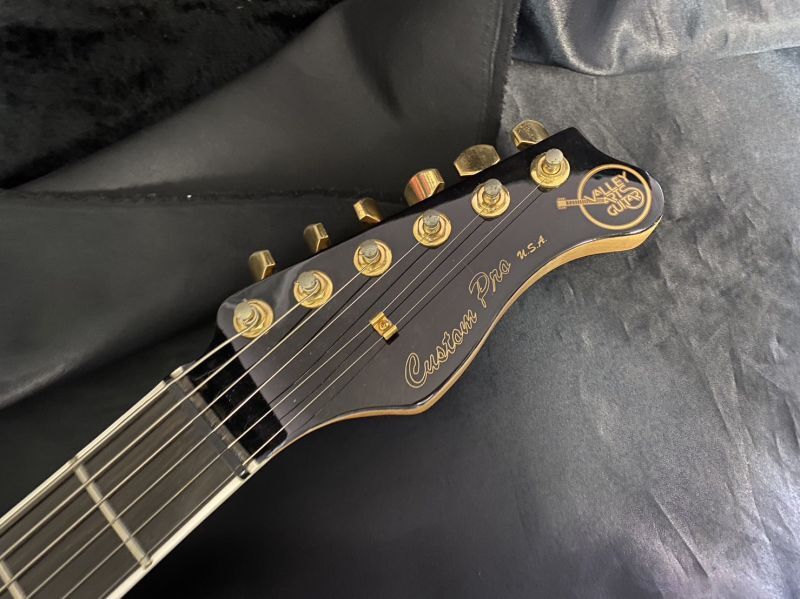 Valley Arts /Custom Pro USA see-through　Black